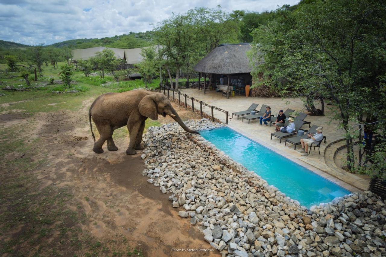 Ongava Tented Camp Okaukuejo Exteriér fotografie