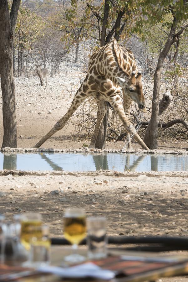 Ongava Tented Camp Okaukuejo Exteriér fotografie