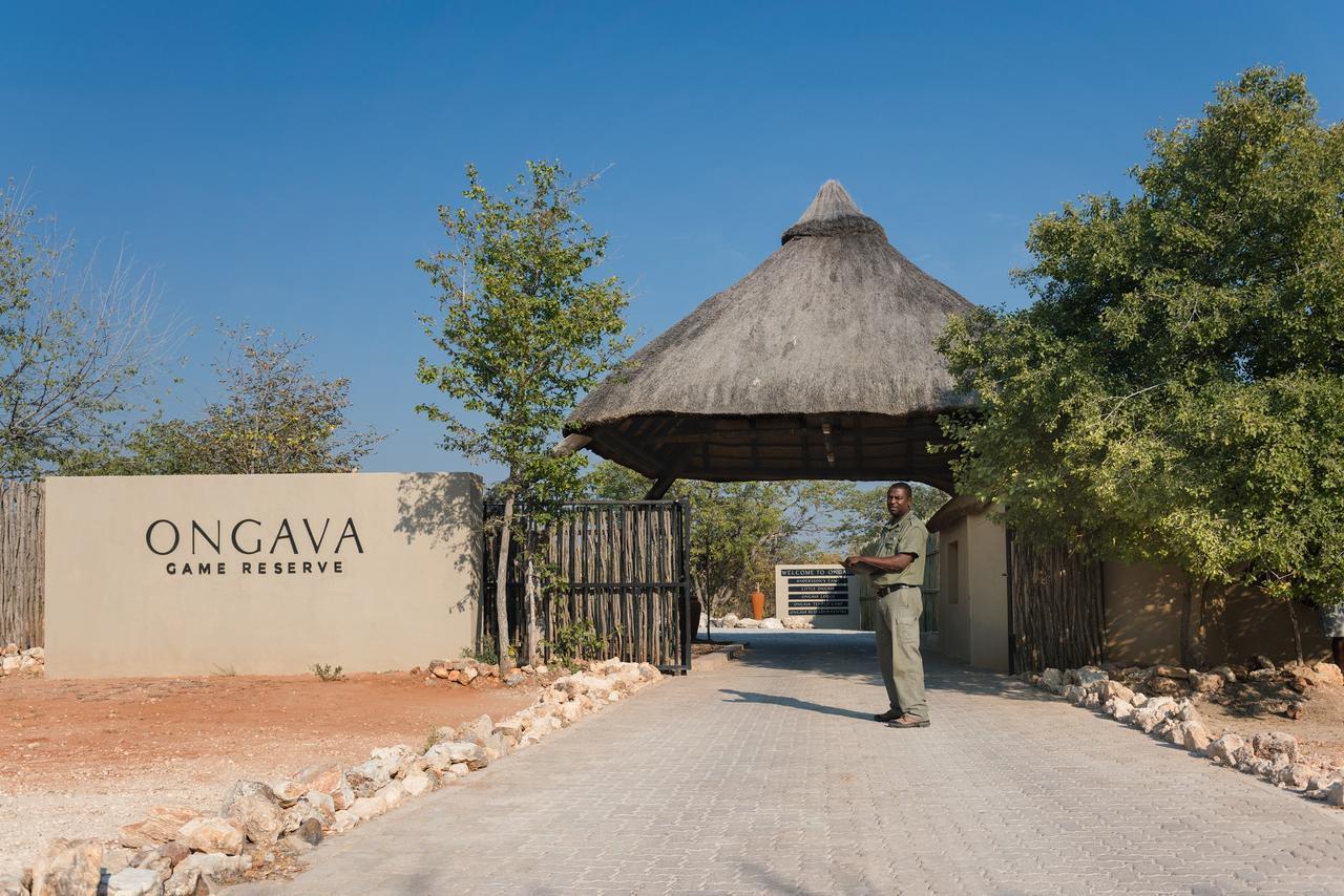 Ongava Tented Camp Okaukuejo Exteriér fotografie