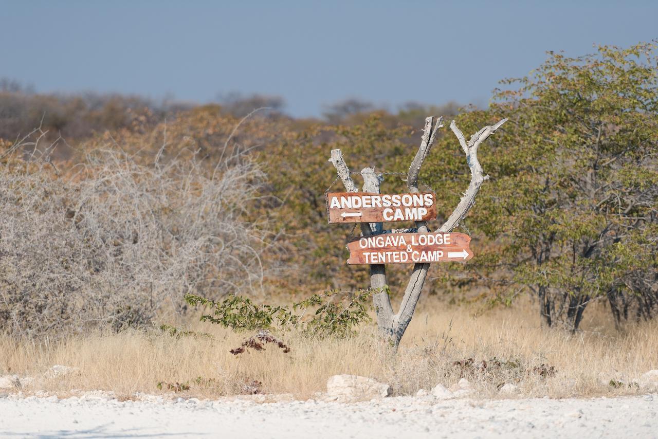 Ongava Tented Camp Okaukuejo Exteriér fotografie